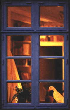 Das D&auml;nische Fenster